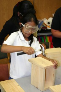 A girl builds a birdhouse during a WILD Jersey program.