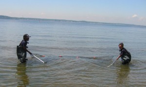 Seining Trip for Kids